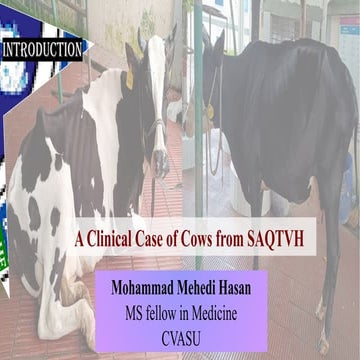 Case presentation on liver abscess of cow.pptx