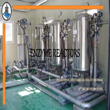 Enzyme reactors