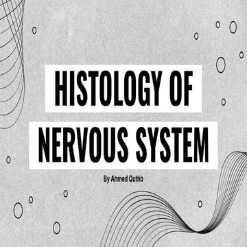 Histology of Nervous System Simplified PPT | PDF