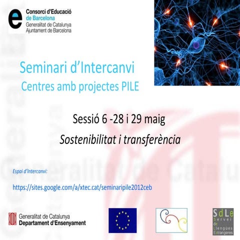 Seminari de coord pile ceb sessió 6