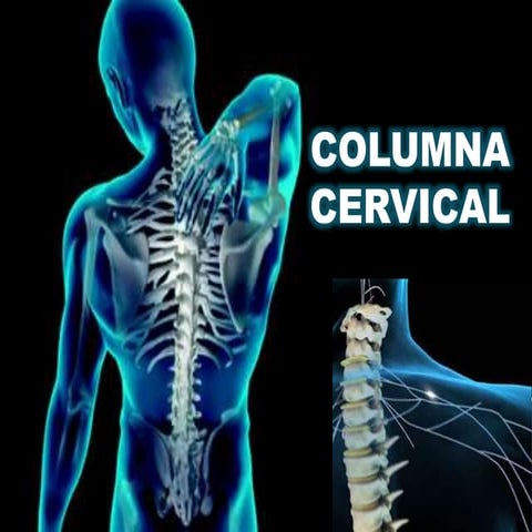 traumatologia columna vertebral