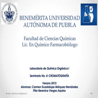 Seminario 4-cromatografía