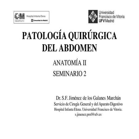 Seminario 2 Anatomia II (abdoment agudo)