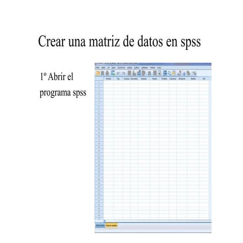 Construcción de una matriz de datos en pasw | PPTX