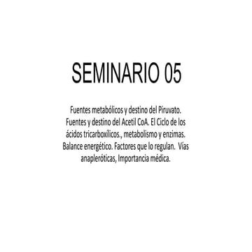 Seminario 6
