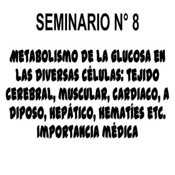 Seminario 8