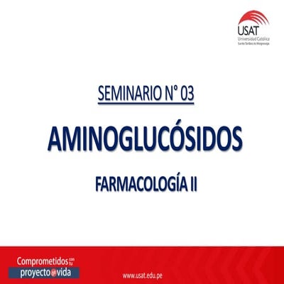 AMINOGLUCOSIDOS 