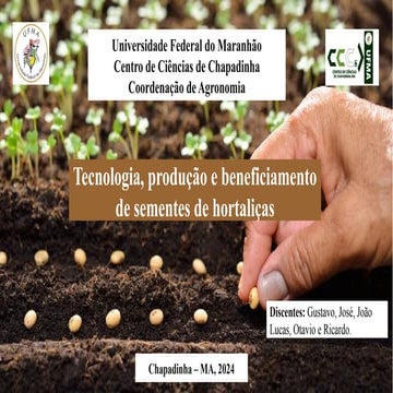 Seminario de sementes de hortaliças versão final (1).pptx