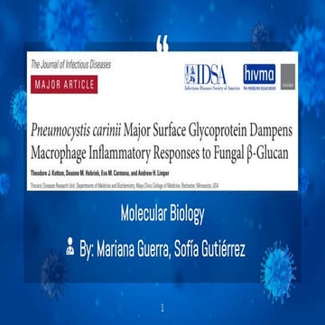 Seminario - 