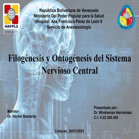 Seminario filogenesis y ontogenesis SNC.pptx