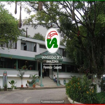 SEMINARIO FINAL ZOOLOGIA--.pptx