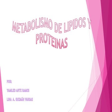 METABOLISMO DE LIPIDOS Y PROTEINAS UAN 2015