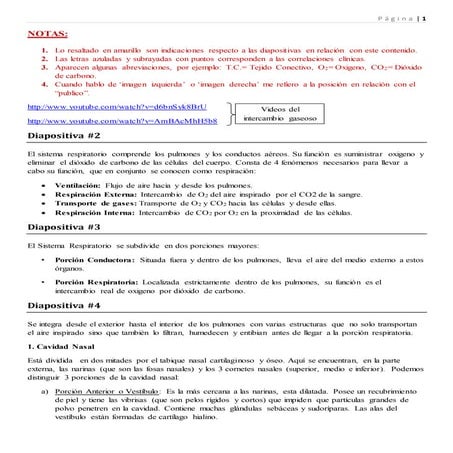 Sistema Respiratorio