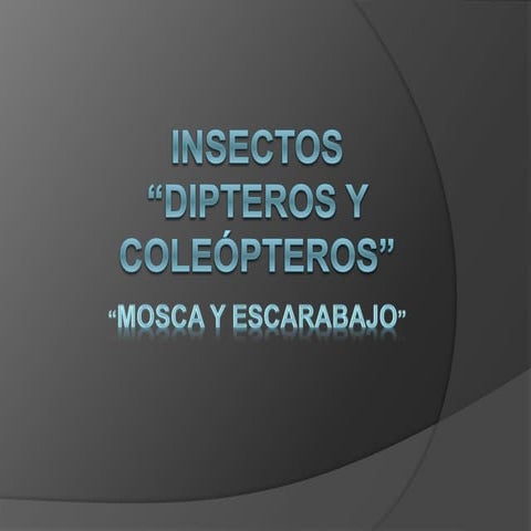 insectos----> dipteros y coleopteros