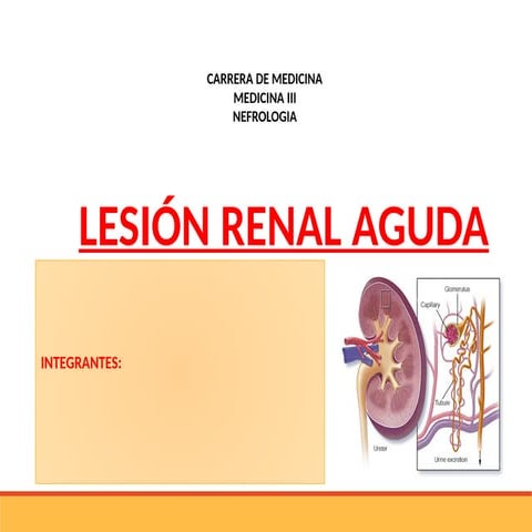 SEMINARIO Lesion renal aguda para estudiantes de medicina