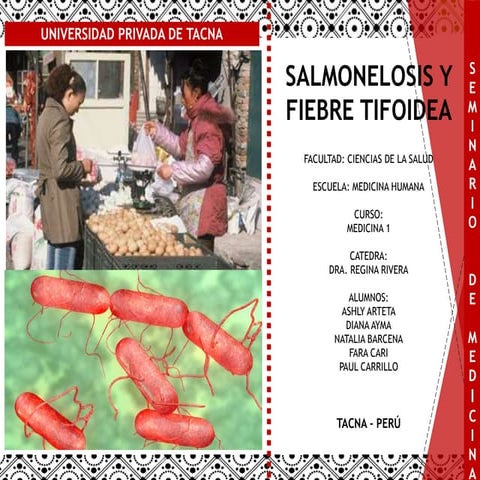 Salmonelosis -  patogenia, epidemiologia, cuadro clínico, evolución, , compli...