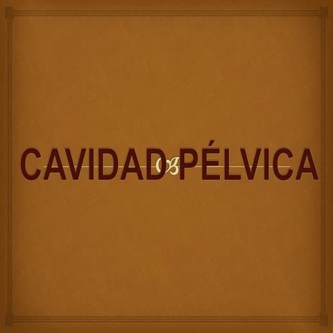 Seminario miembro pelvico 1