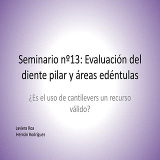 Seminario nº13