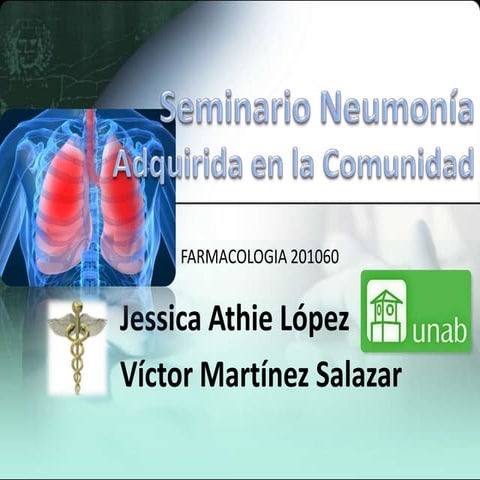 Seminario nac 201060finales