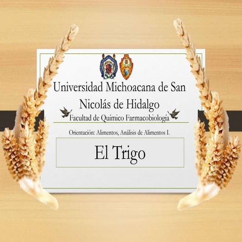 Seminario Trigo