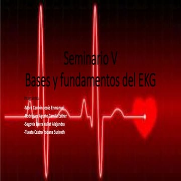 Seminario v EKG