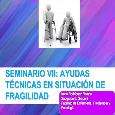 Seminario vii ayudas técnicas