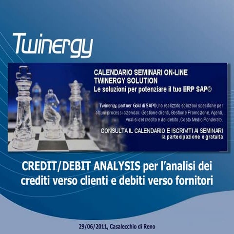 Twinergy Solution: Credit & Debit Analysis con SAP