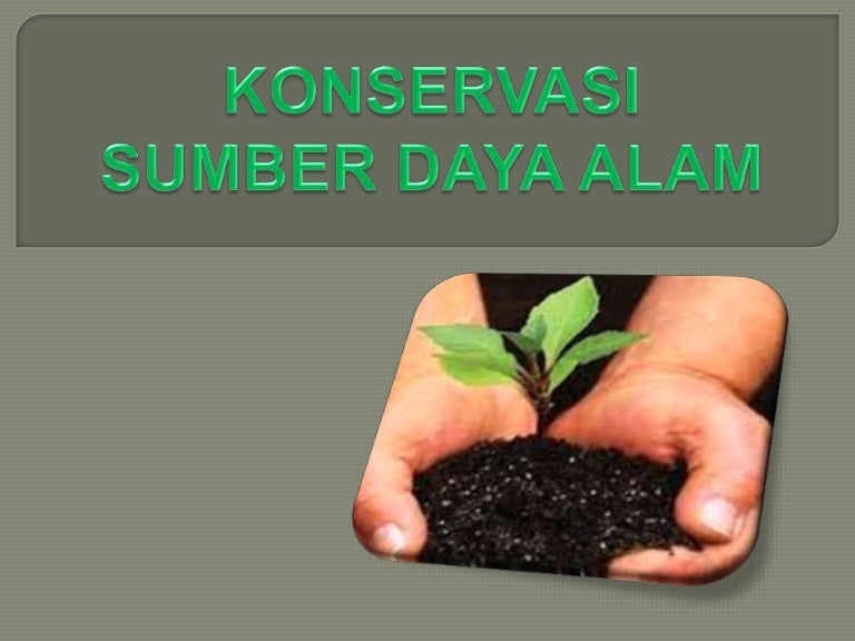 Konservasi Sumber Daya Alam