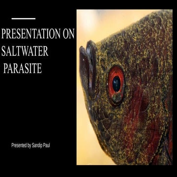 Morphology, taxonomy and life cycle of parasites | PPTX