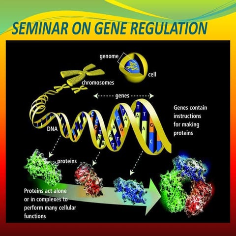 Seminar on gene regulation | PPTX