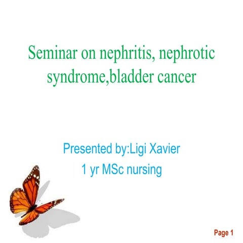 Seminar on nephritis, nephrotic syndrome,bladder cancer