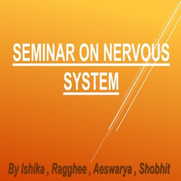  nervous system