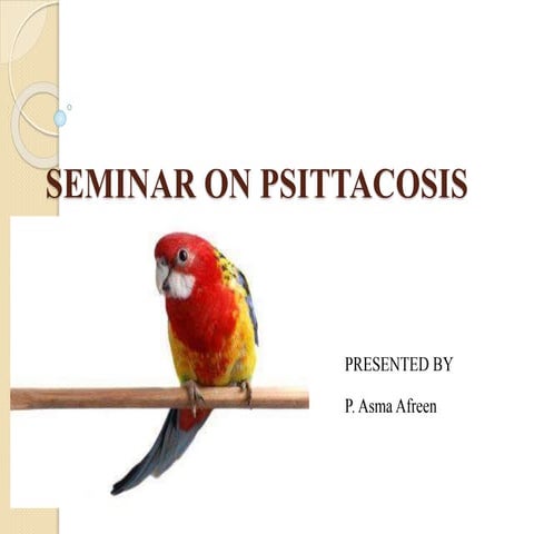Seminar on psittacosis