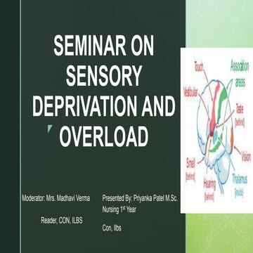 SENSORY NEEDS B.SC. NURSING SEMESTER II. | PPTX