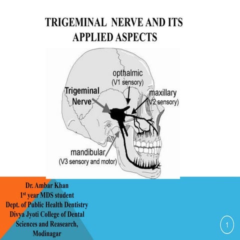 Trigeminal Nerve and its applied aspects