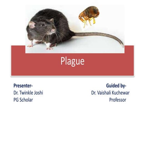  PLAGUE