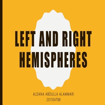 Brain hemispheres and information process