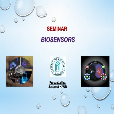 seminar_pptinnigeriaofofhaloofnewarea.ppt