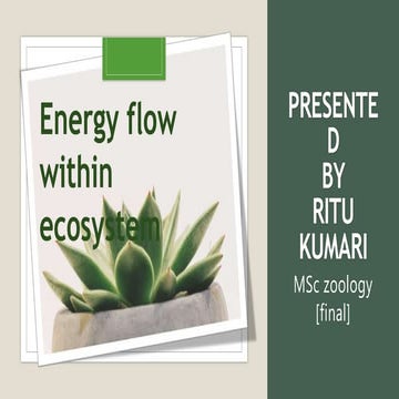 Seminar presentation ecological energy flow in eco system 
