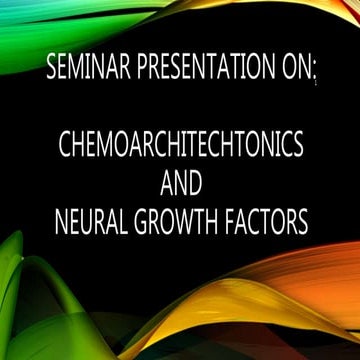 brain chemoarchitecture
