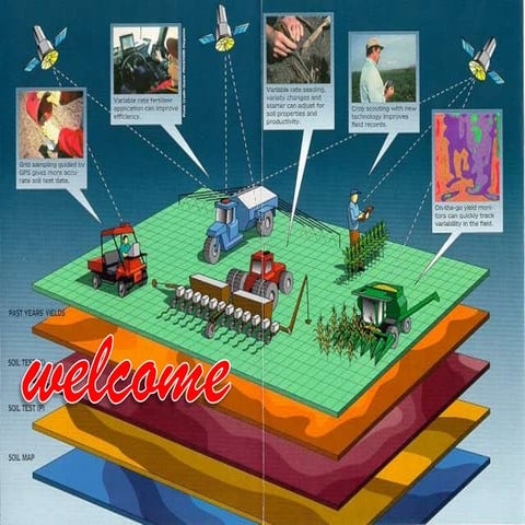 Real-time nitrogen management in rice
