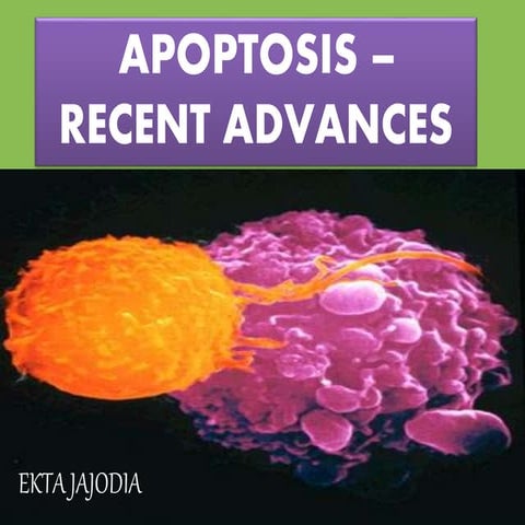 Seminar- recent advances in apoptosis