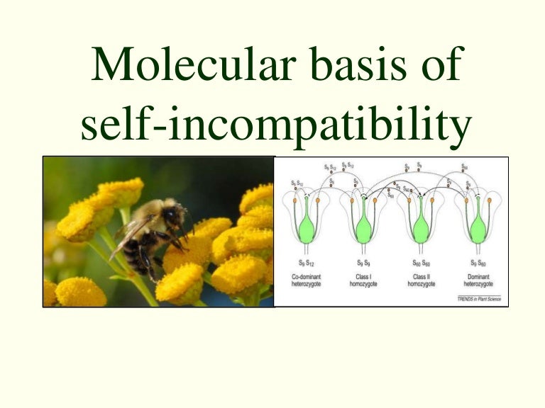 Molecular basis of