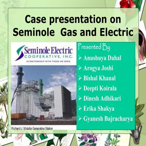 Seminole Gas and Electric