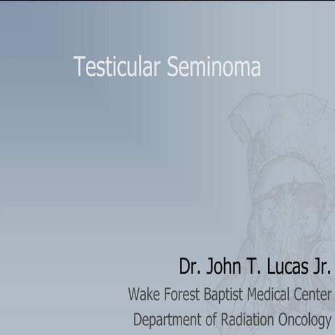 Seminoma  2012