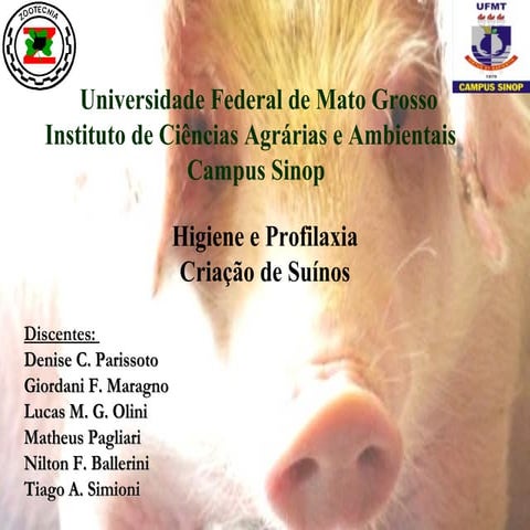 Higiene e Profilaxia - Criação de Suínos