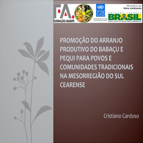 Caracterização Socioeconomica de Cadeias de Valor na Chapada do Araripe