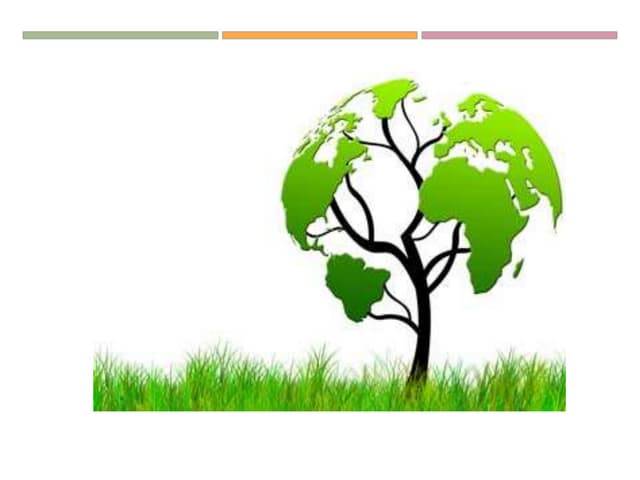 Seminário saúde ambiental epidemiol...