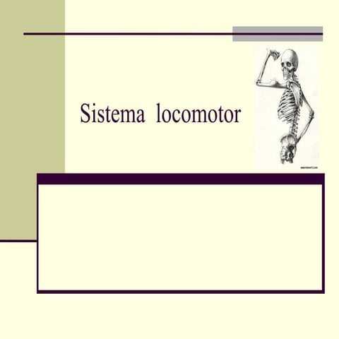 Semiologia del aprato locomotor