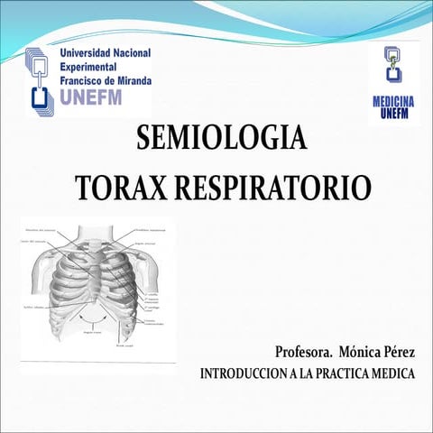 Semiologia de torax respiratorio. tecicas de Exploracion, Inspeccion ...